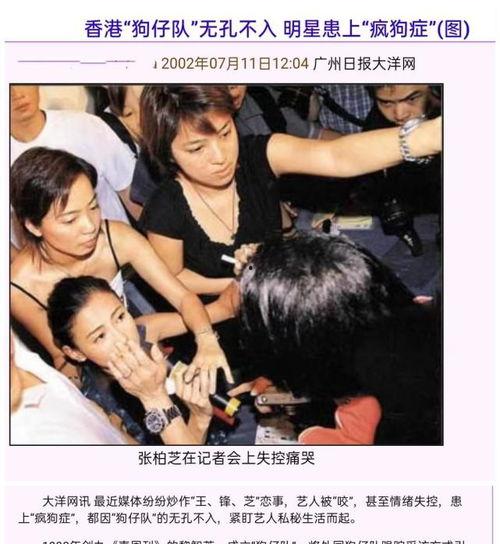 吃瓜娱乐少女和狗仔